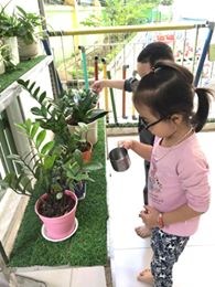 Các bé chăm sóc cây xanh