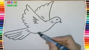 cách vẽ con chim bồ câu