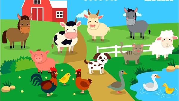 Tiếng Anh mầm non_ Enspire Eduplay_Farm animals 4 tuổi