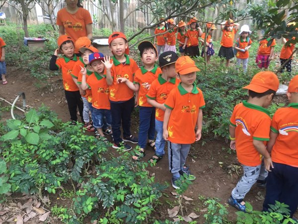 Các bạn khối Mẫu giáo Nhỡ tham quan vườn cây ăn ăn quả nhà cô Thu Hương