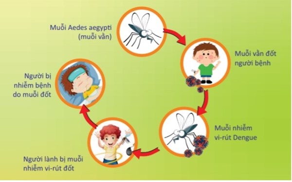 Cách phòng bệnh sốt xuất huyết trong thời điểm dịch COVID-19