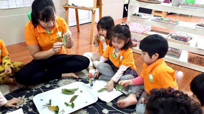 Các bạn nhỏ lớp B2 cùng nhau khám phá về  Lá ổi vs tạo hình các con vật từ những chiếc lá xinh