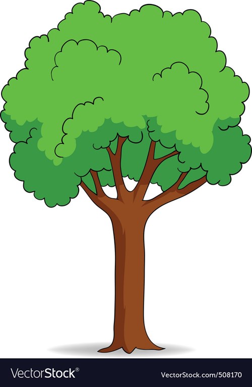 Tại sao thân cây lại có hình trụ tròn?