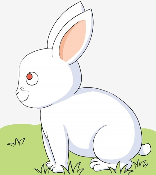 Tại sao mắt thỏ trắng lại có màu đỏ?