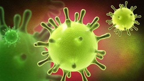 10 câu hỏi đáp để chủ động phòng chống dịch bệnh viêm đường hô hấp cấp do virus Corona mới