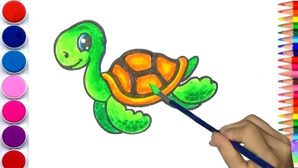 Mgl - vẽ con rùa