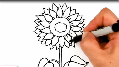 Hoạt động tạo hình: Vẽ Hoa hướng dương