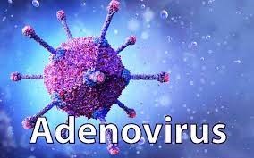 Bài tập huấn phòng chống Adenovirus trong trường học
