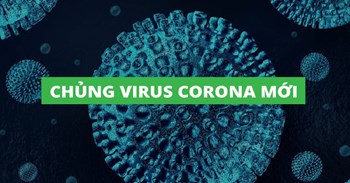 Video hướng dẫn cách phòng chống dịch bệnh viêm đường hô hấp cấp do chủng virut corona