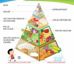 Dinh dưỡng hợp lý và hoạt động thể lực cho trẻ em tuổi học đường