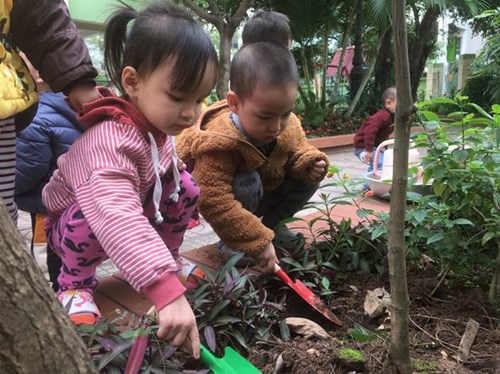 Các bé lớp Nhà trẻ D2 được ra vườn trải nghiệm cùng trồng cây ...