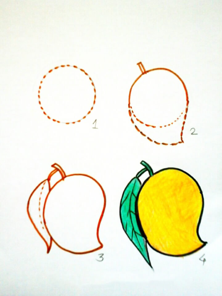 Hướng dẫn cách vẽ quả xoài đơn giản với 6 bước cơ bản cho bé tô màu