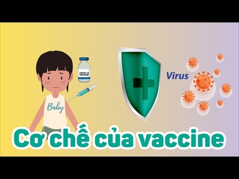 Nhà khoa học tí hon | Cơ chế của vaccine