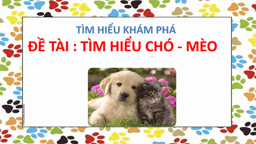 Tìm hiểu con chó - con mèo - Lứa tuổi: 24- 36 tháng _ GV: Nguyễn Thị Phương Bình