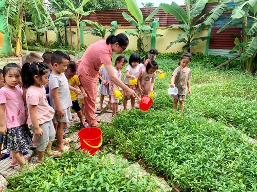 Các bé lớp MGN B1 thích thú với hoạt động chăm sóc vườn rau của trường.