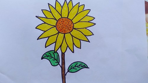 Dạy trẻ vẽ hoa hướng dương