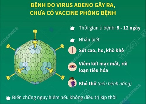 Phòng chống bệnh do virut Adeno